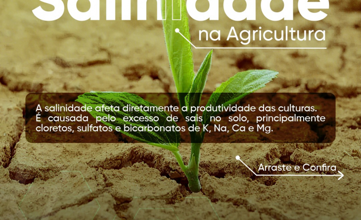 Os Efeitos da Salinidade na Agricultura